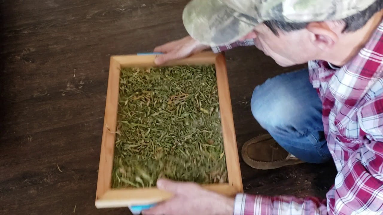 How to collect Kief from Your Cannabis Trimmings.