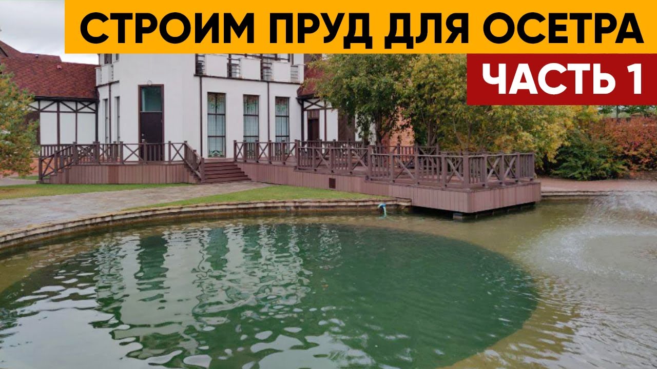 Производство ПРУДА из глины ДЛЯ ОСЕТРА | Часть 1