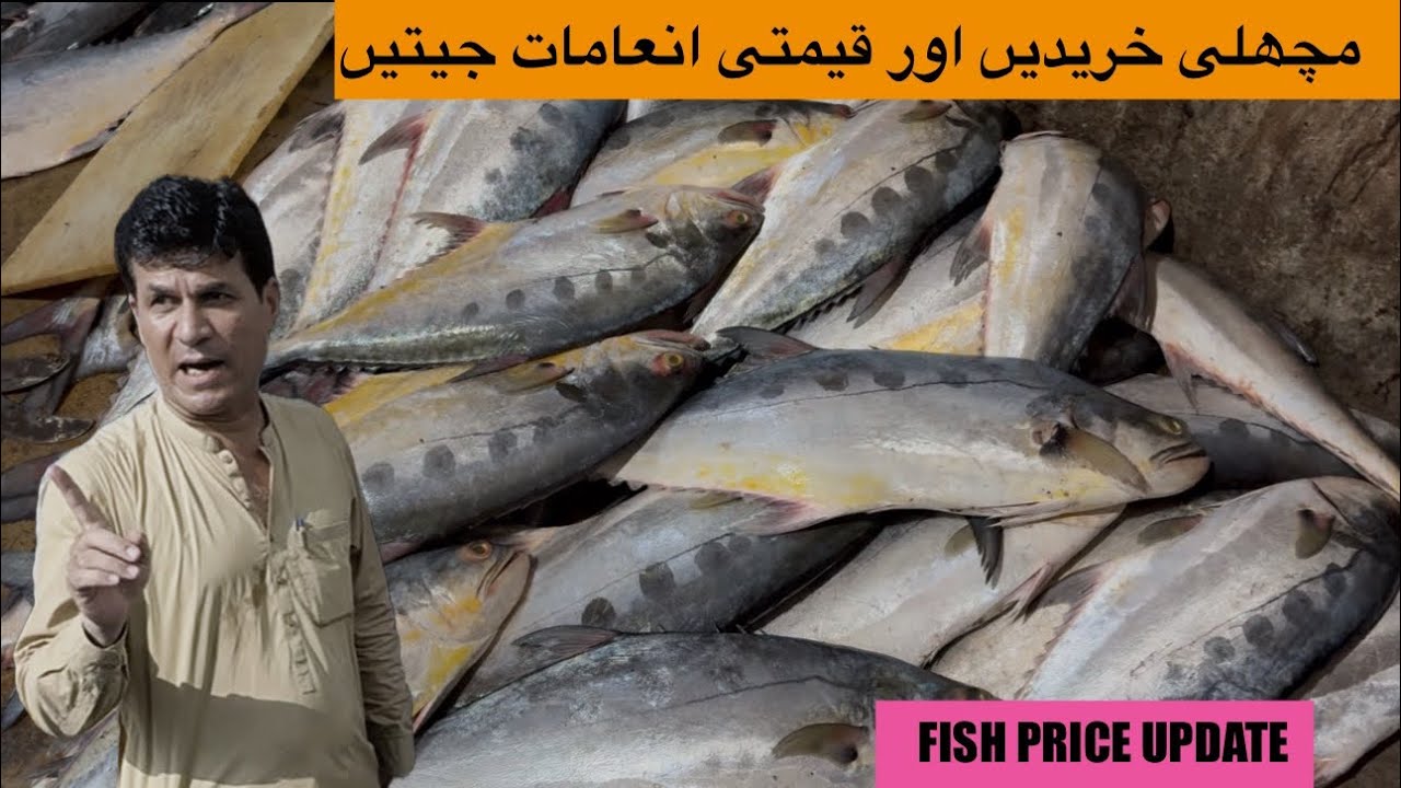 Buy fish and win valuable prizes April 20, 2025