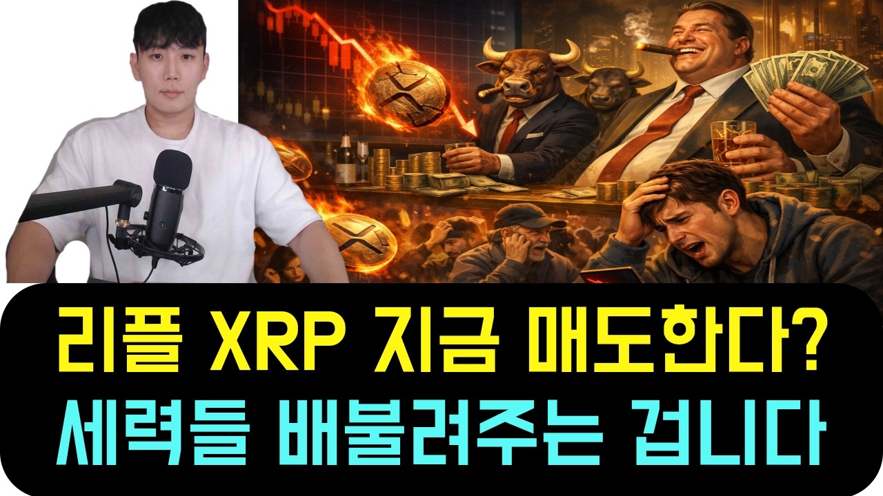 [리플 XRP] 지금 매도하면 결국 세력들 배만 불려주게 되는 이유