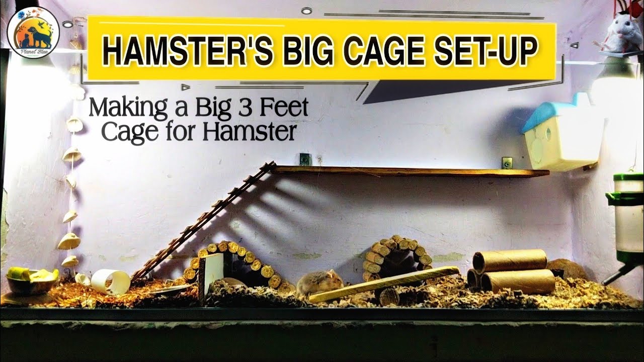 Hamster Cage Set-up || Making a Big 3 Feet Cage for Hamster