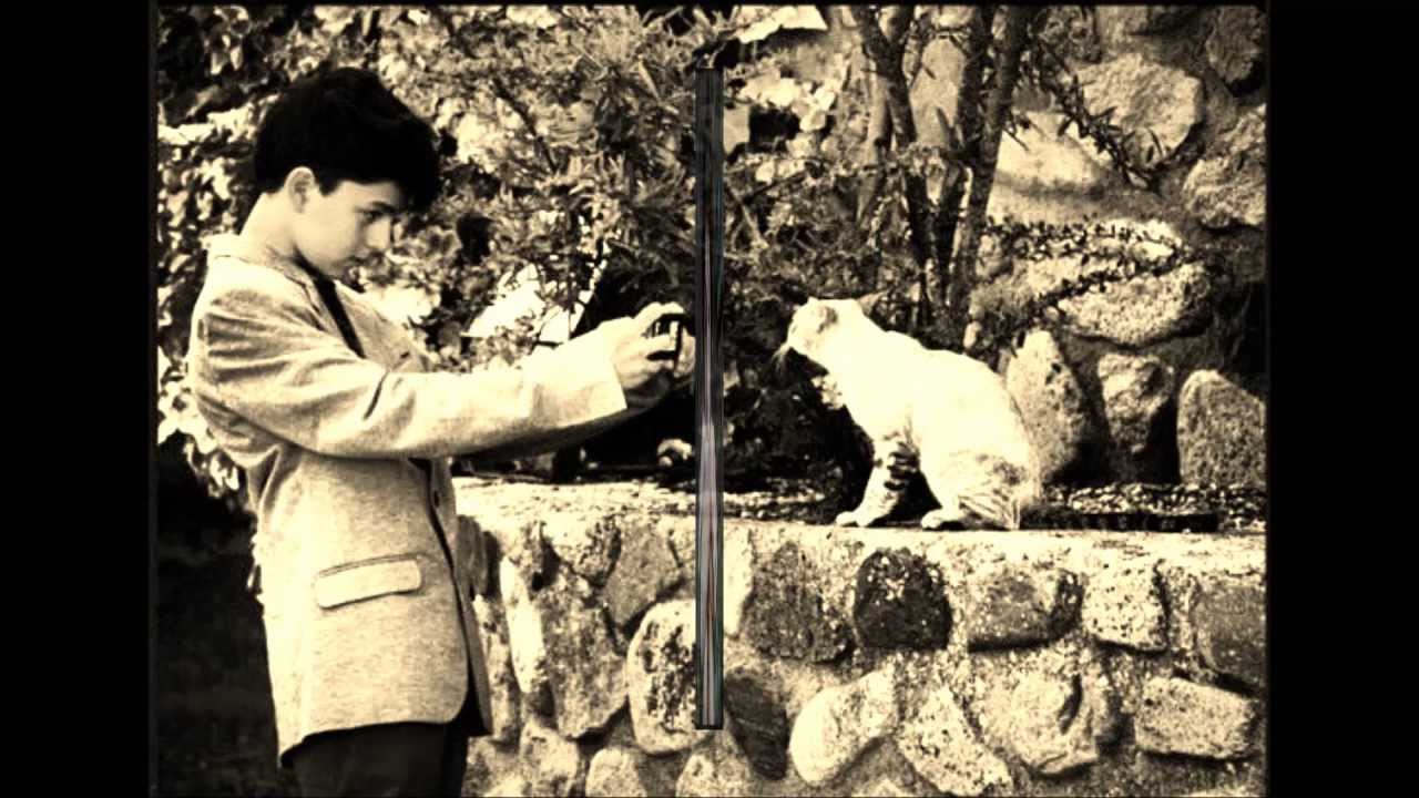 Nil Cardoner,&Agrave;lex Monner i PV! -Dorm (Els vuit)
