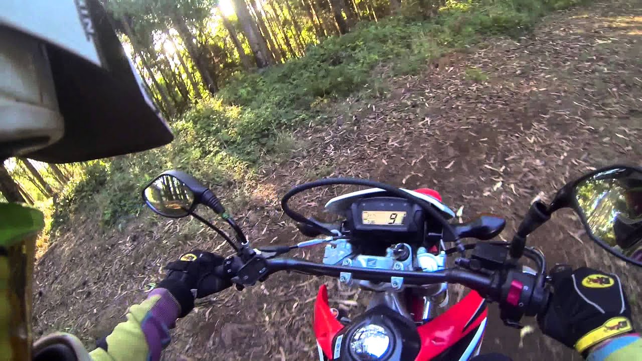 2013 CRF 250L shredding