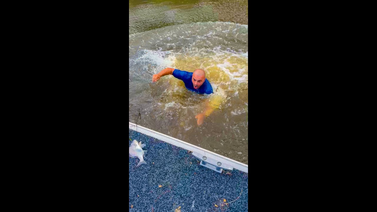 Shark Infested Waters!