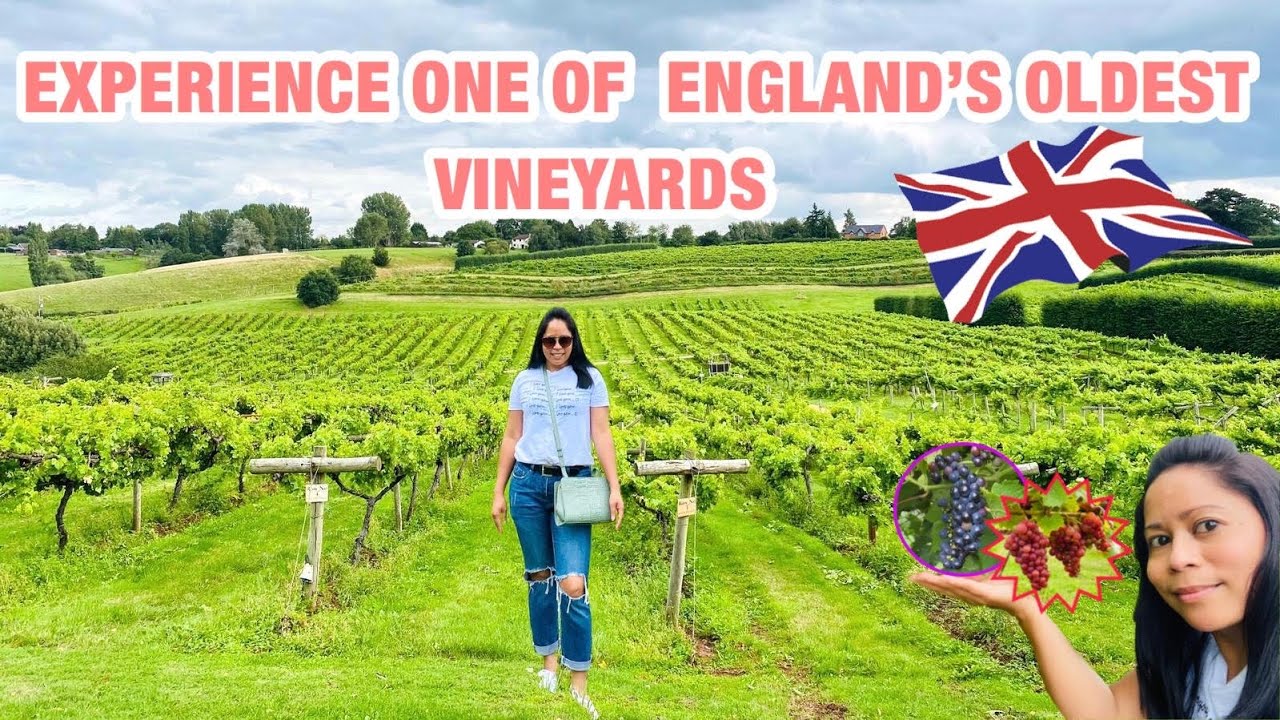 THREE CHOIRS VINEYARDS|GLOUCESTERSHIRE|ENGLAND