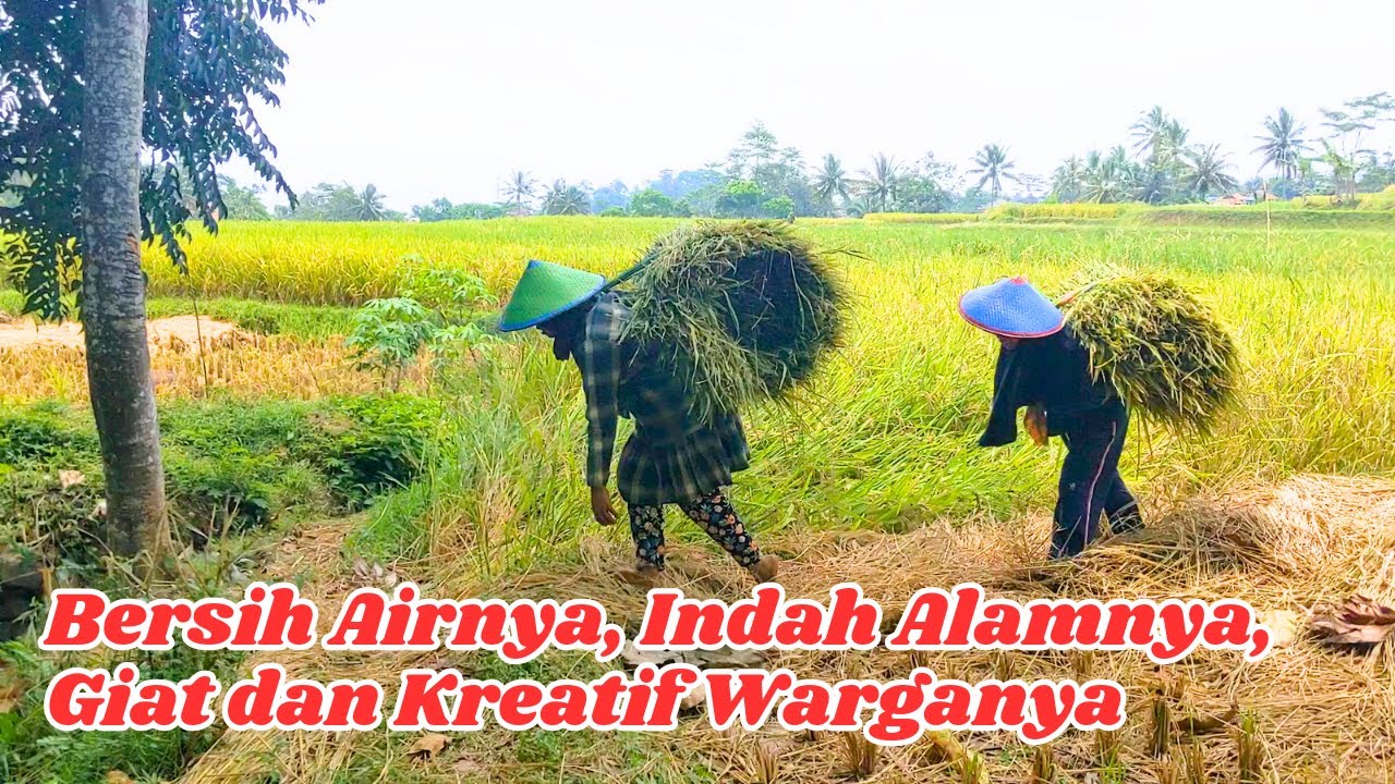 Jernih Airnya, Indah Alamnya, Giat dan Kreatif Warganya | Kampung Andir Malangbong Garut