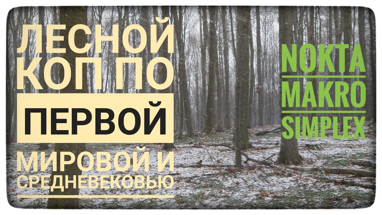 Пошли в лес копать по Первой Мировой. Искали средневековье. Лесной коп. Nokta Makro Simplex. Коп.