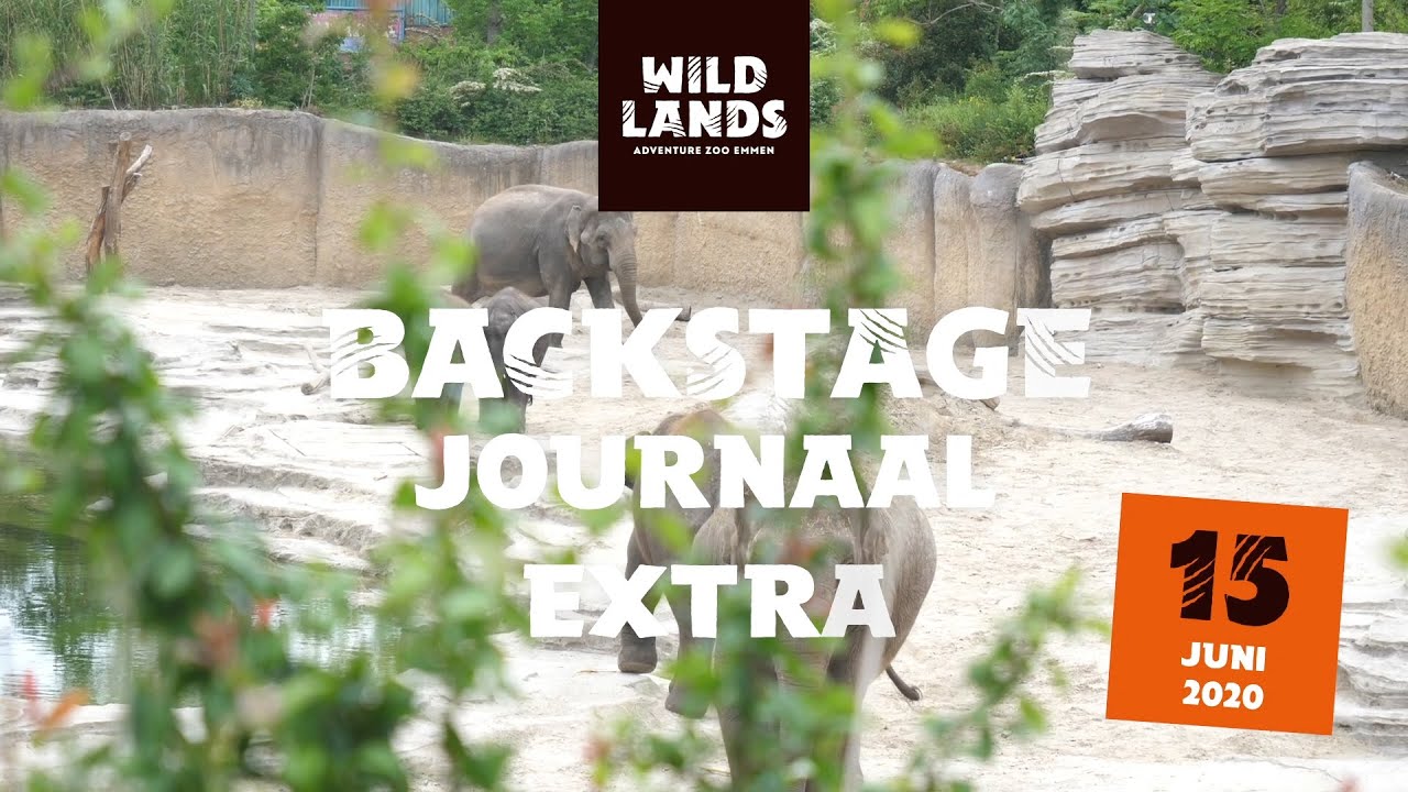 Extra WILDLANDS Backstage Journaal 15 juni 2020
