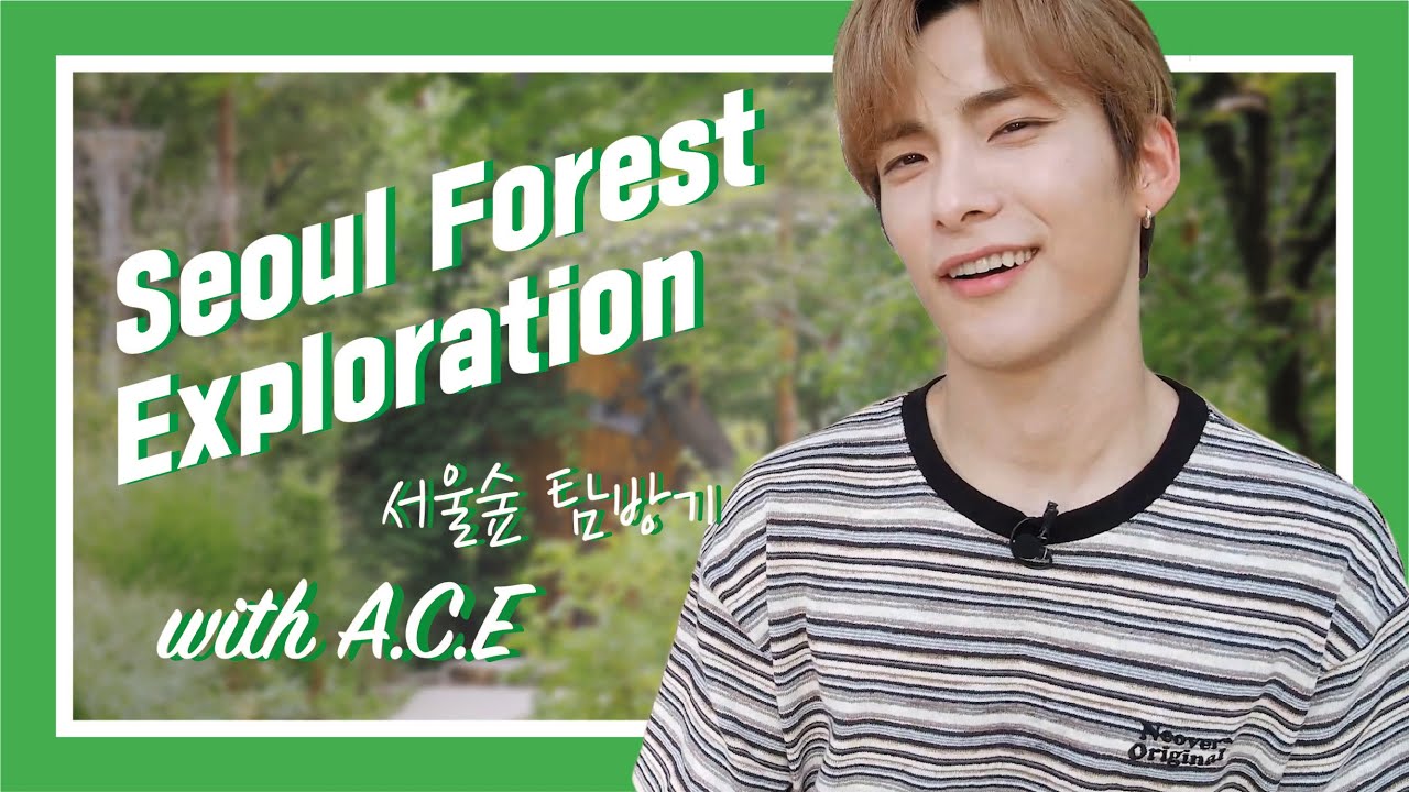 [4K] [#어골마돌/ENG/RUS SUB] - 어쩌다 서울숲에서 마주친 A.C.E, 만나보실? / Idol in Alley with A.C.E - Ep.1 Seoul Forest