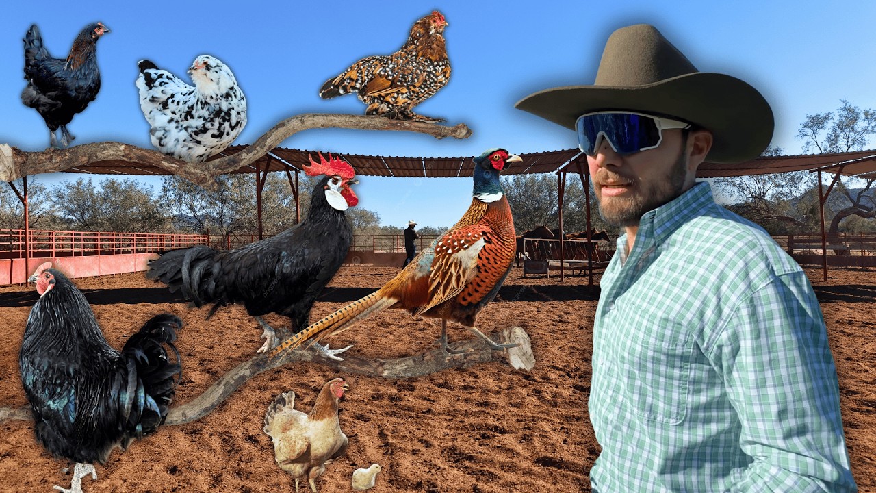 En Imuris,Sonora existe un rancho de animales de ornato.