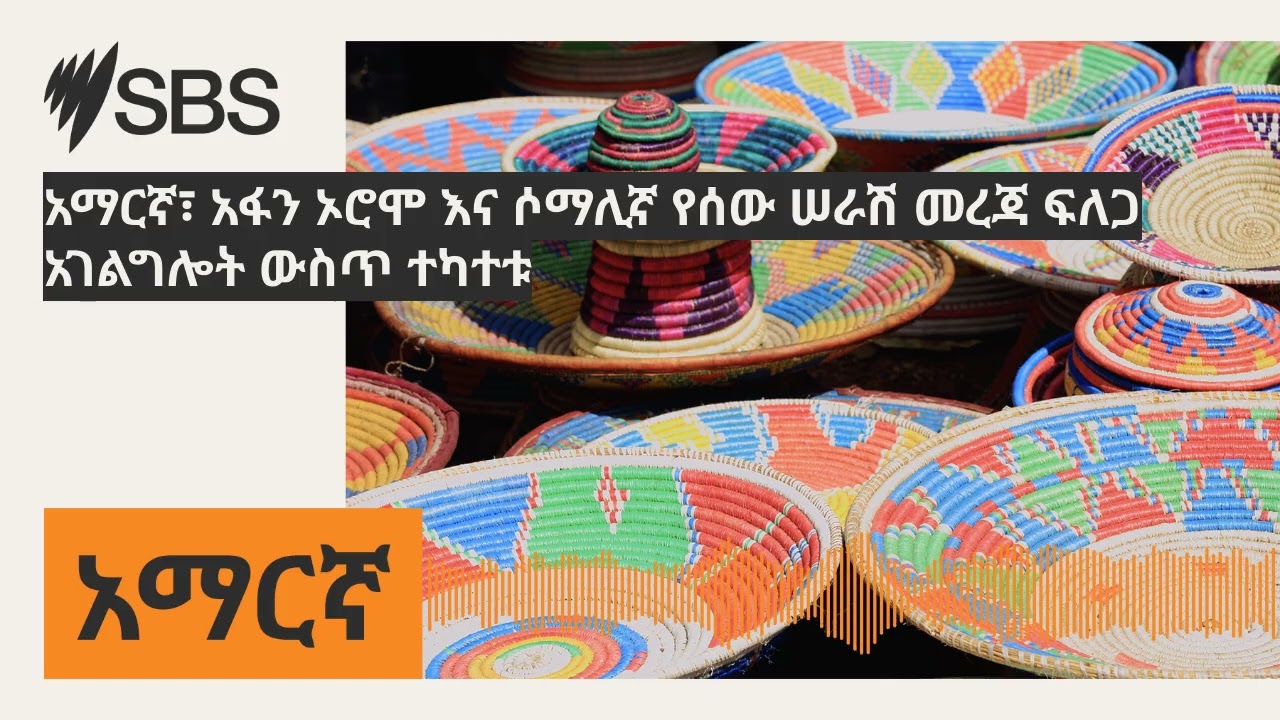 አማርኛ፣ አፋን ኦሮሞ እና ሶማሊኛ የሰው ሠራሽ መረጃ ፍለጋ አገልግሎት ውስጥ ተካተቱ | SBS Amharic - ኤስ.ቢ.ኤስ አማርኛ