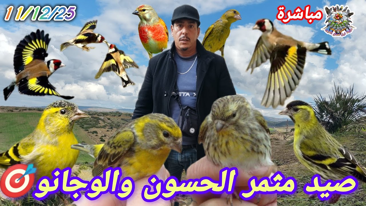 رحلة صيد شاقة ومثيرة بطائر اللوجانو والحسون هذا المكان يمتاز بعديد من الطيور المغردة 🏞️