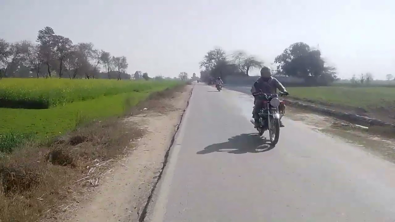 Rayasat bahawal baikiya service rajpoot Asif HANIF SHO Bhatti group in the city bahawalpur 
