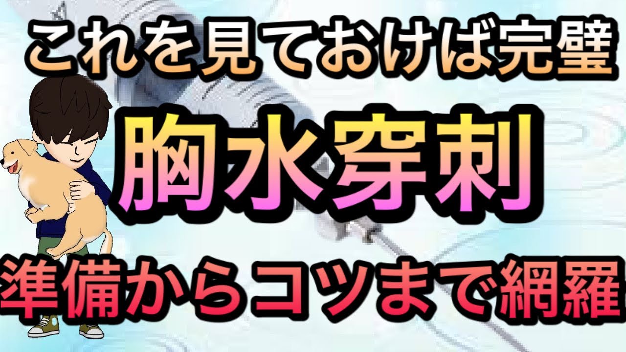 【研修医必見】胸水穿刺の完全マニュアル　準備マーキング穿刺のコツまで！