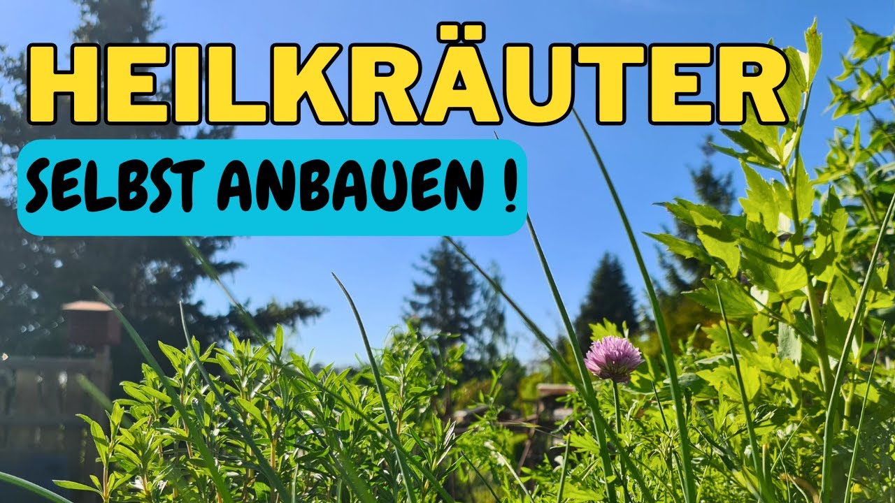 &Uuml;ber 20 Kr&auml;uter & Heilpflanzen selbst anbauen!