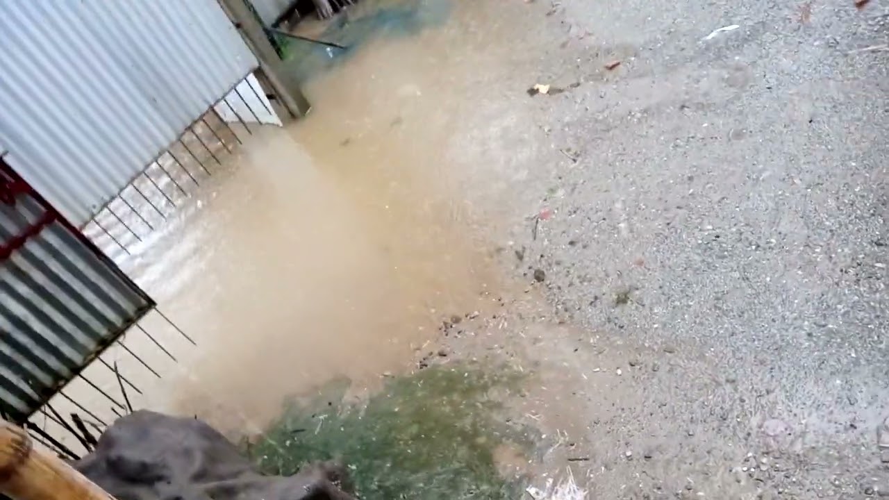 Great flood in our society 2022
