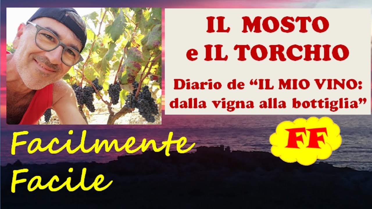 5 - IL MOSTO E LA TORCHIATURA DELLE VINACCE - Diario de 