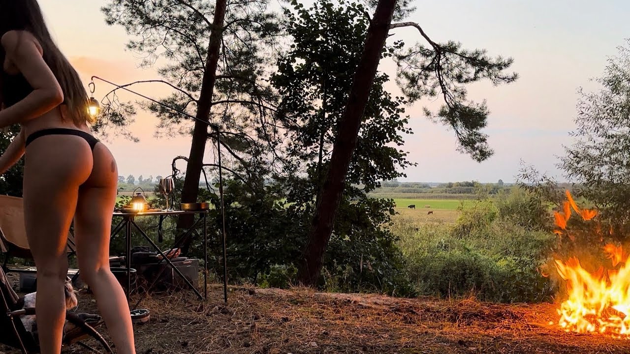 If only I had known… “The Cows’ Serenades” | everything would have been different