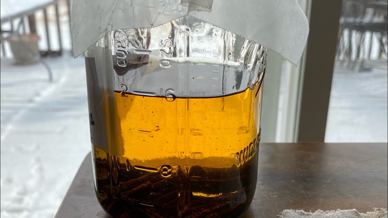 Vanilla Bean Extract & Infused oil -DIY tips and tricks | Tonya’s Witchy Kitchen