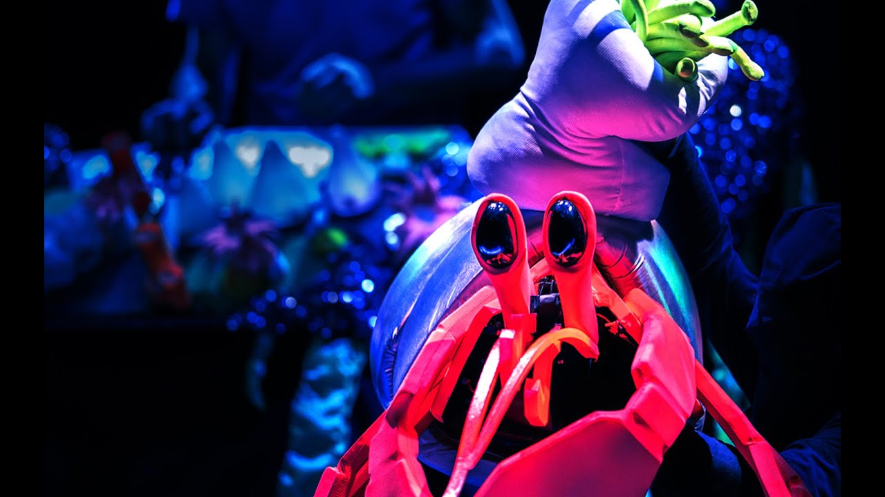 Coquille diamant - Marc de blanchard (teaser)