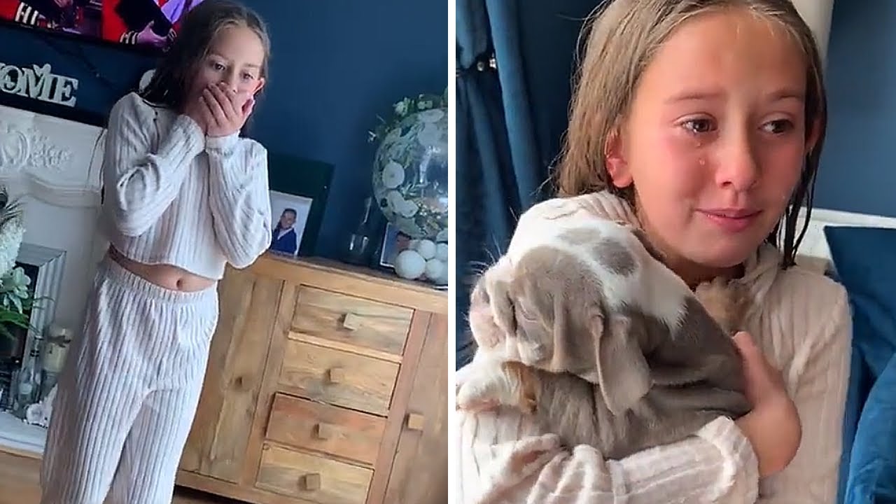 Little girl has priceless reaction to new puppy