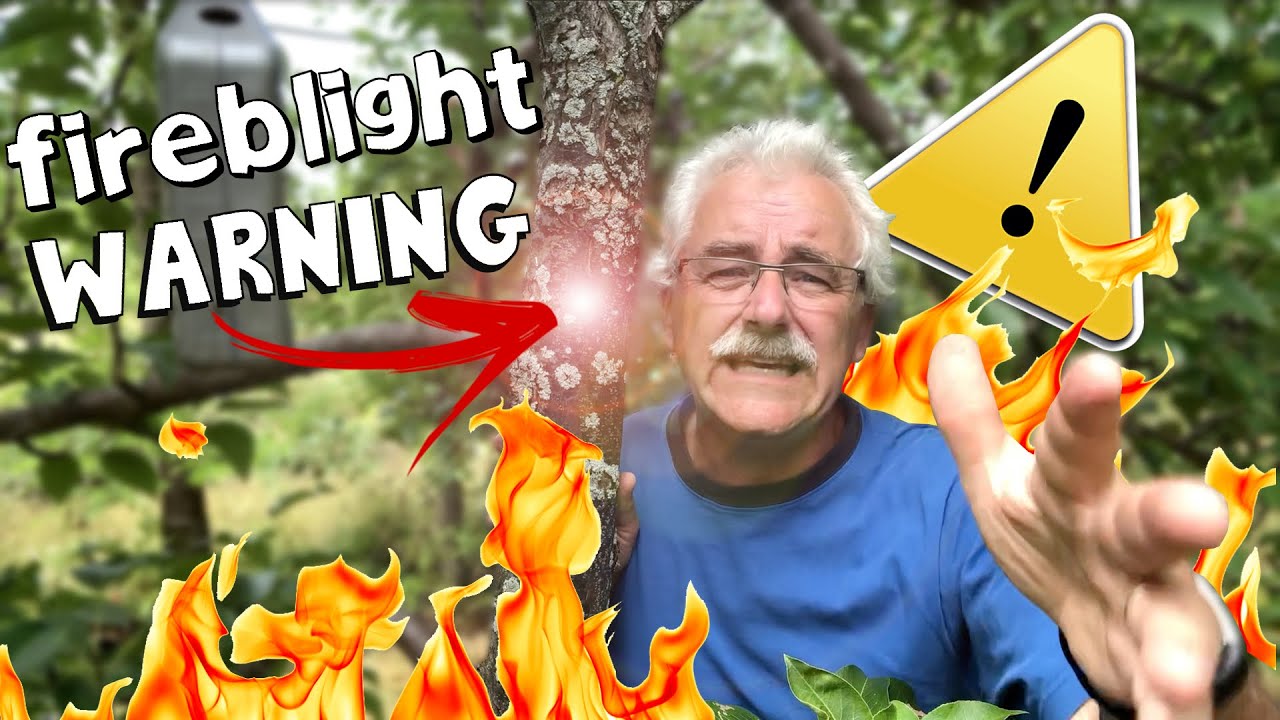 ESSENTIALS to SURVIVE and THRIVE when FIREBLIGHT HITS.
