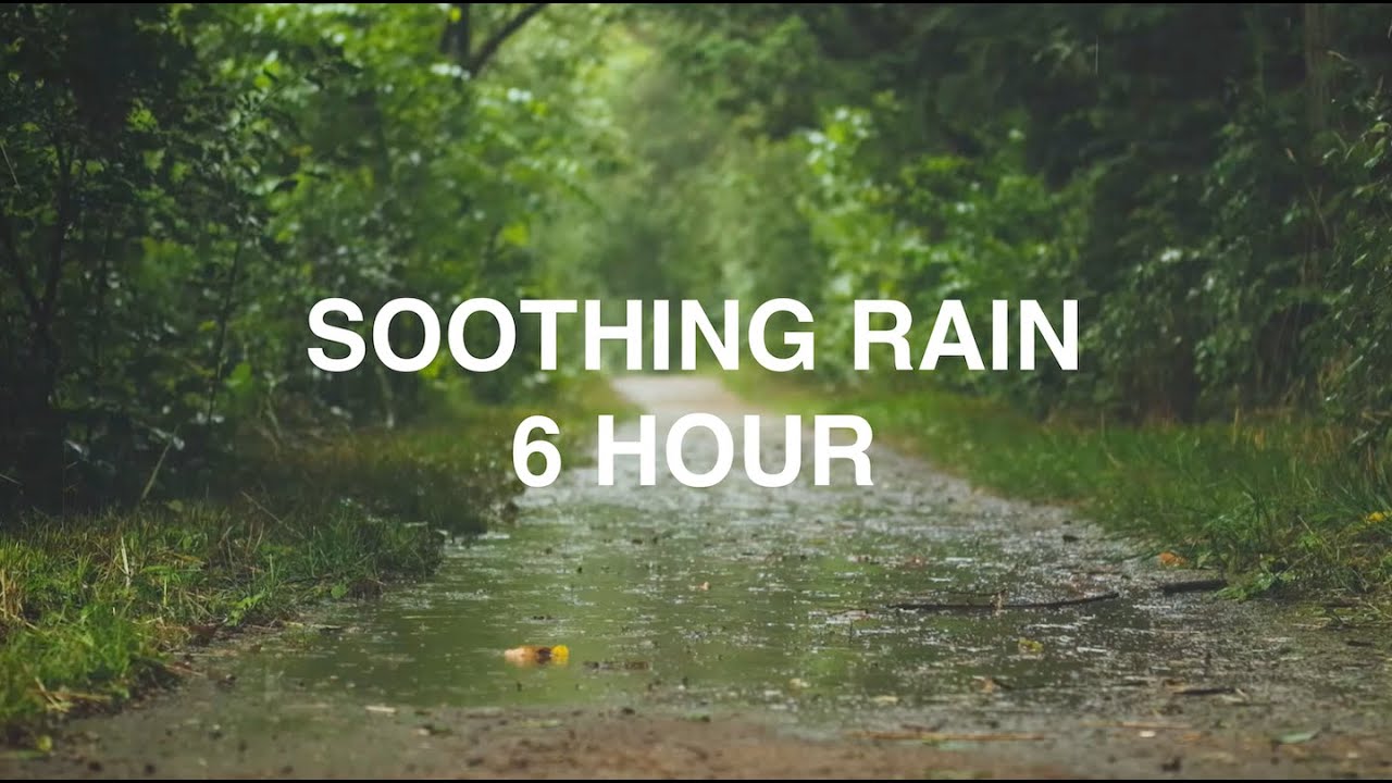 6 HOUR | Soothing Rain Forest | Meditation | Study | Focus | Calm Background Ambience