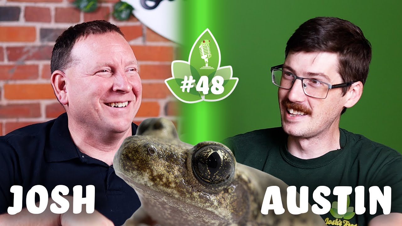 Что такое жаба-акушерка?! - Подкаст Джоша о лягушках, эпизод 48