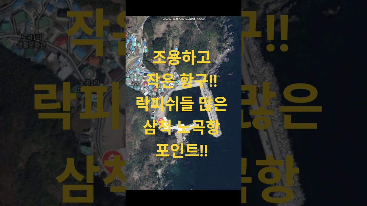 조용하고 작은 항구!! 락피쉬들 많은 삼척 노곡항 포인트!!