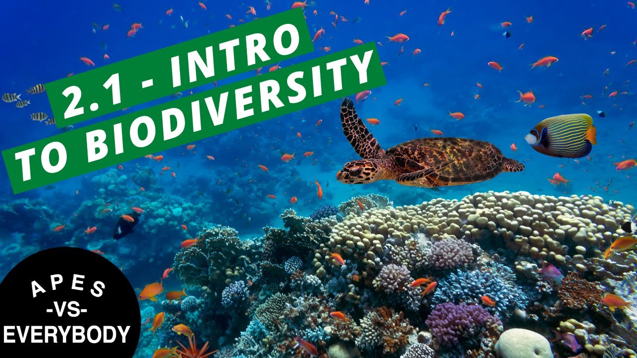 APES Notes 2.1 - Introduction to Biodiversity