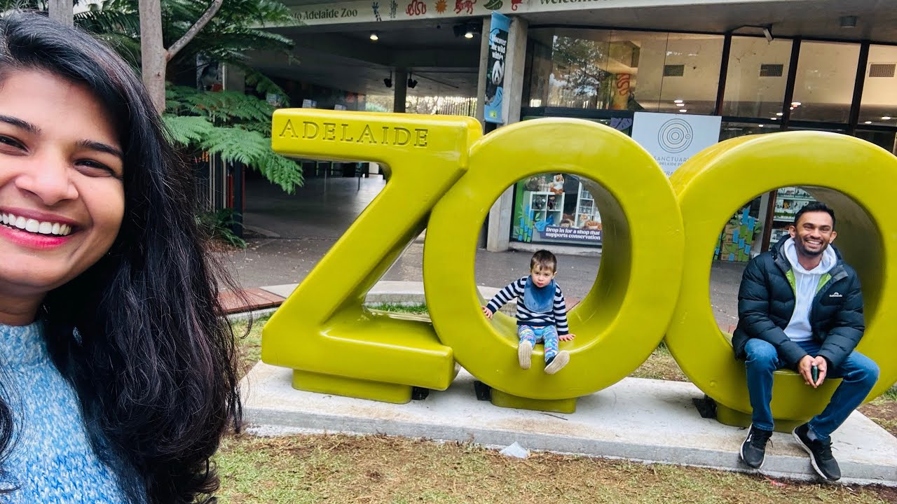 Wild Day at Adelaide Zoo 🐨🦁🐊🦧🇦🇺australia #latestnews #wildlife #panda #tiger #crocodile #animals 