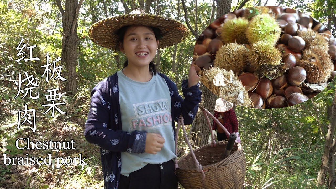 上山打一筐板栗，燉一鍋板栗紅燒肉，比紅燒肉還好吃！