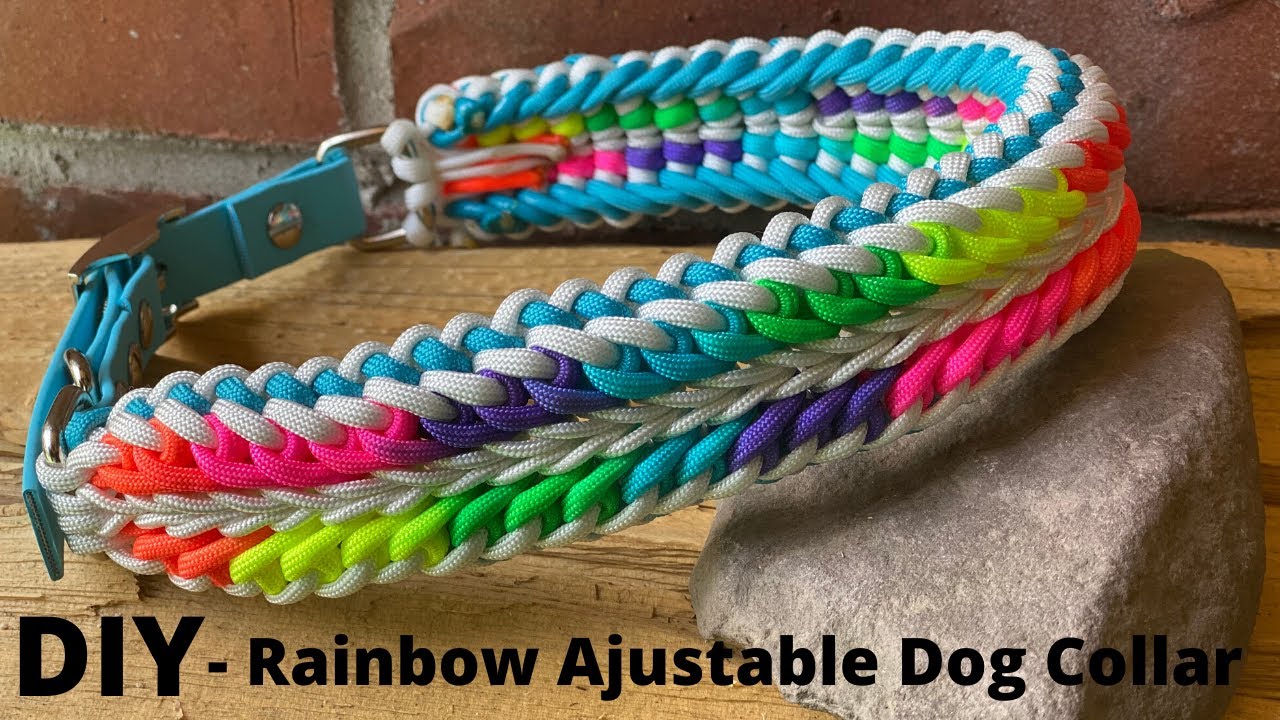 DIY on How I Made Sander's Rainbow 🧡💛💚💙💜 Dog Collar