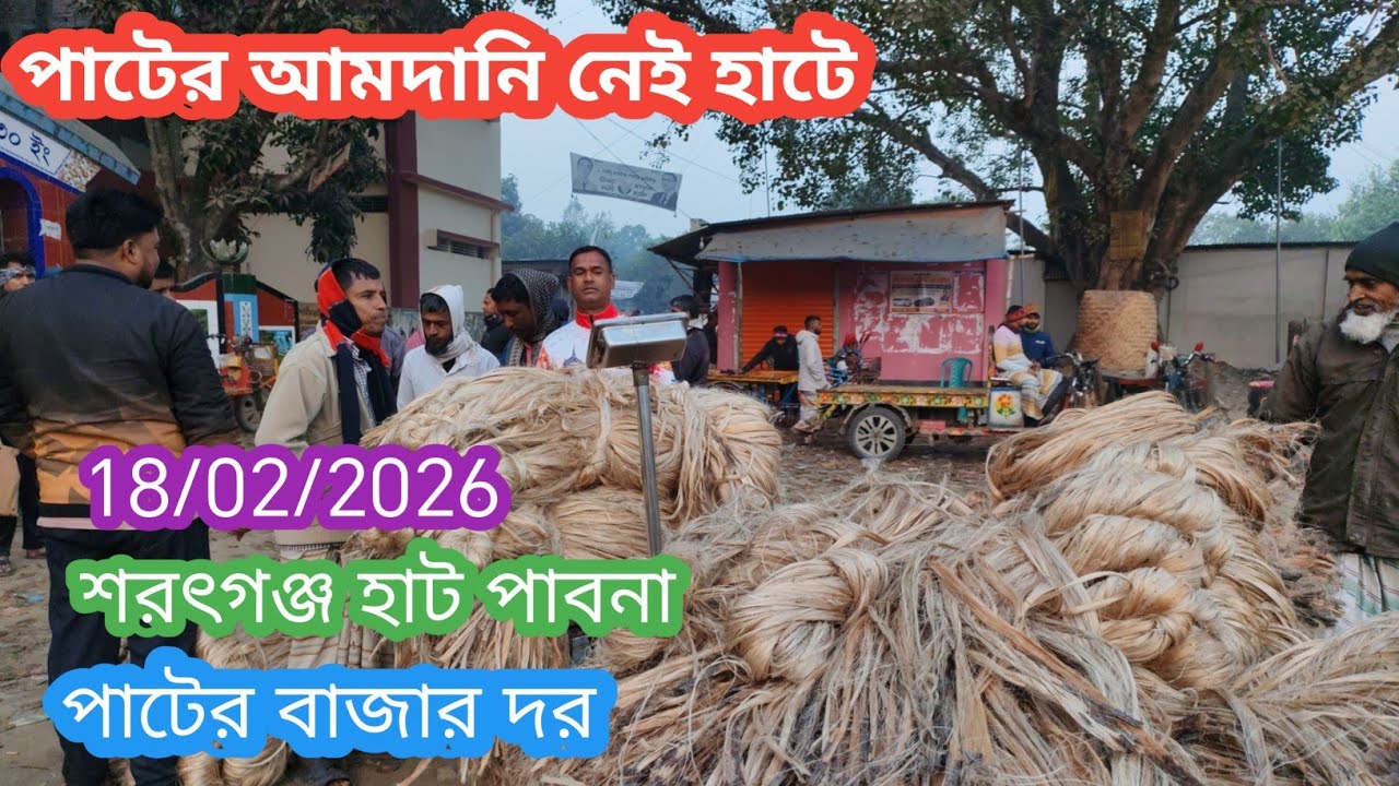 18 February 2026 পাটের আমদানি নেই আজকের পাটের বাজার দর। Jute wholesale market price rate today 