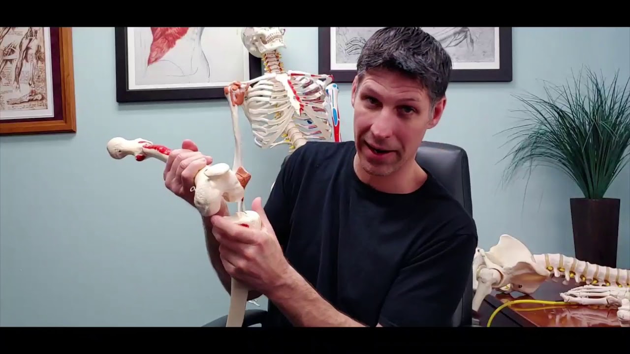 Screw Home Mechanism of the Knee