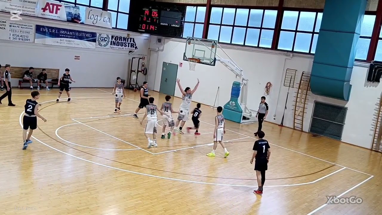 Ascoli Basket U15 Gold - Bramante Fanum