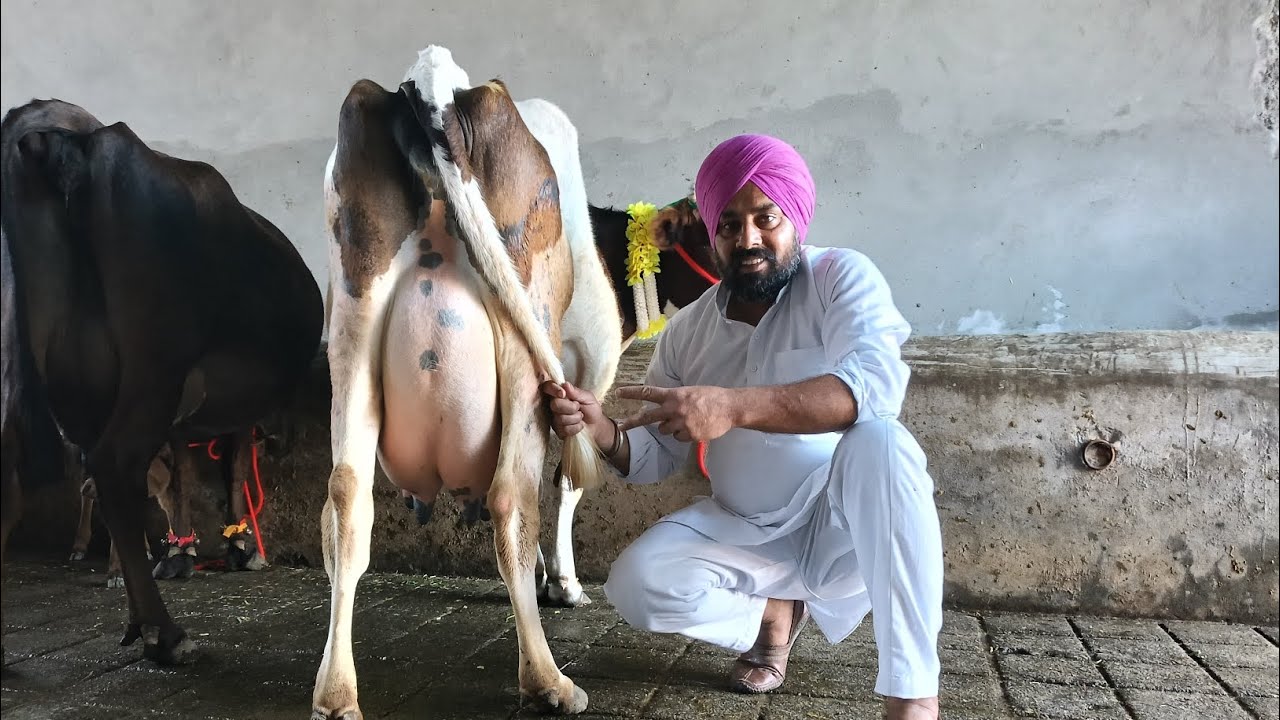 3.3.2026 ਫੋਨ 7717641509