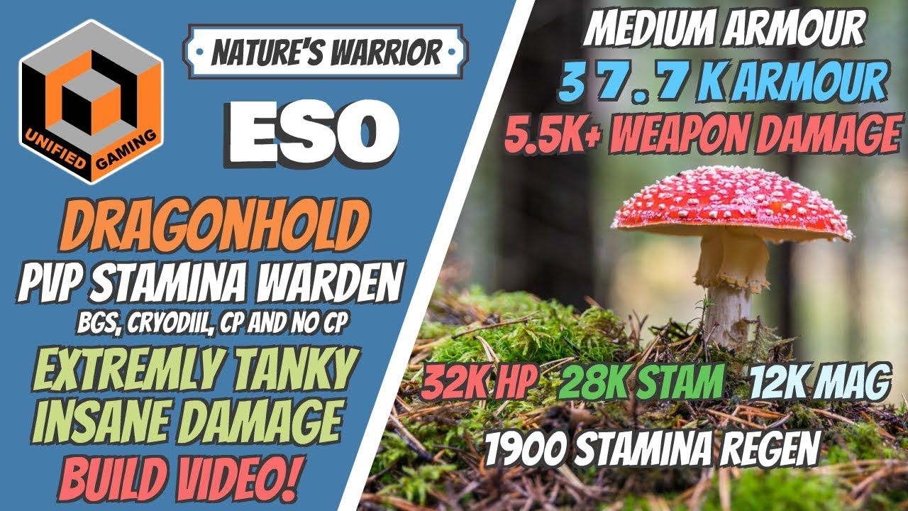 ESO stamina warden PVP build & gameplay - Elder Scrolls Online Dragonhold