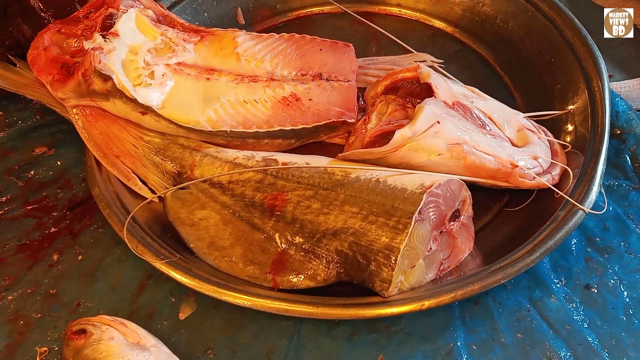 Giant river catfish cutting | Live In Fish Market