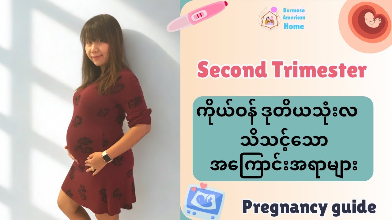 ကိုယ်ဝန် ဒုတိယသုံးလ သိသင့်သော အကြောင်းအရာများ(Second Trimester)
