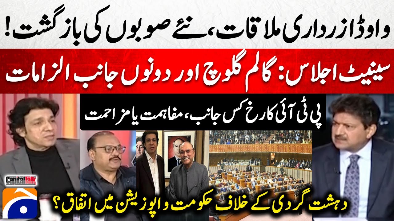 Faisal Vawda Meets President Asif Zardari - PTI: Reconciliation or Resistance? - Hamid Mir