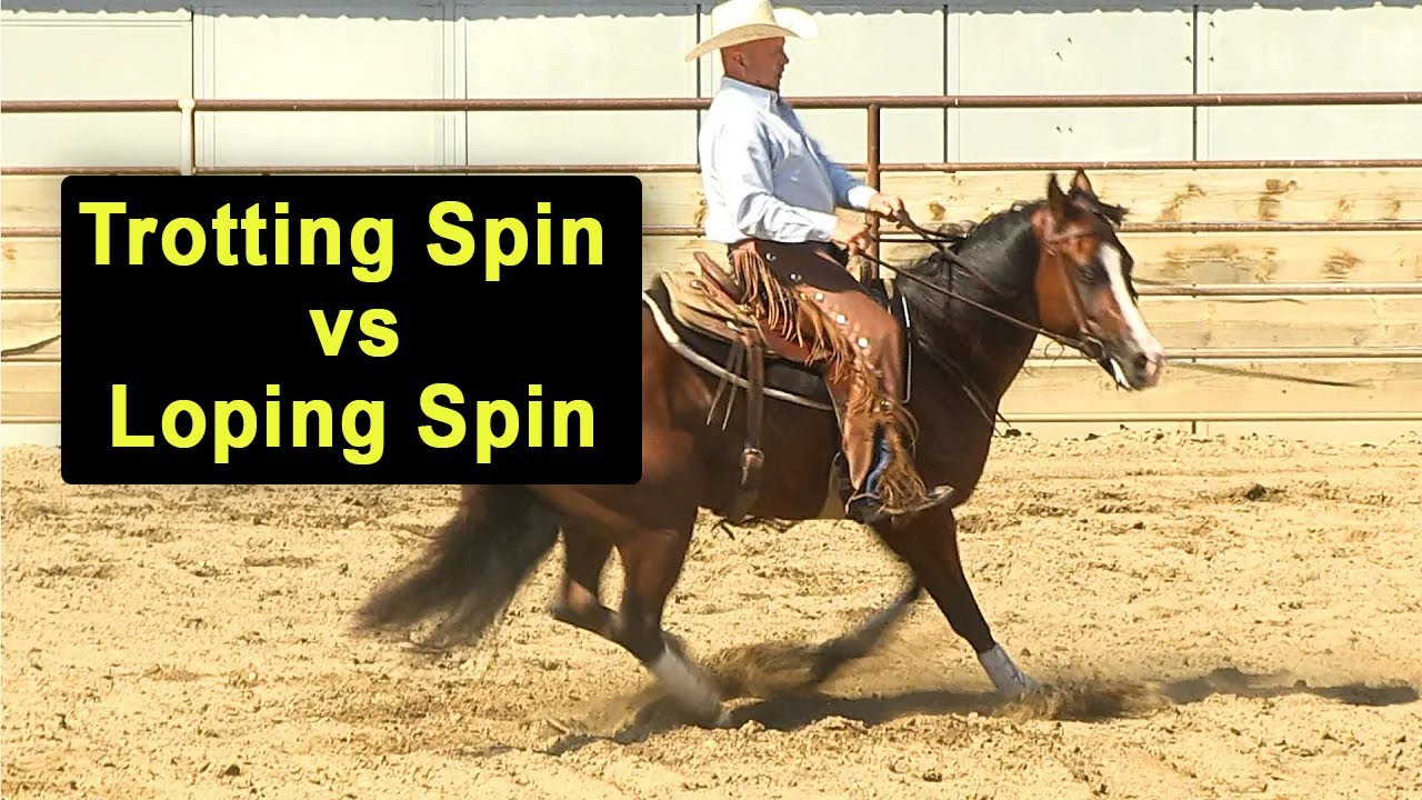 Horse Training - Trotting Spin vs Loping Spin - Reining - Reined Cow Horse