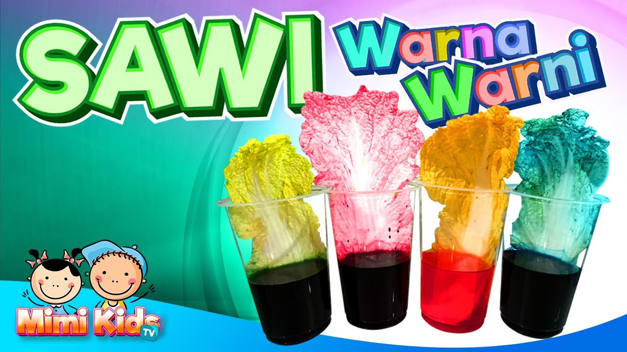 Percobaan Bermain Sawi Warna - Warni | Eksperimen Anak Kecil Sederhana [2021] Fun Science for Kids