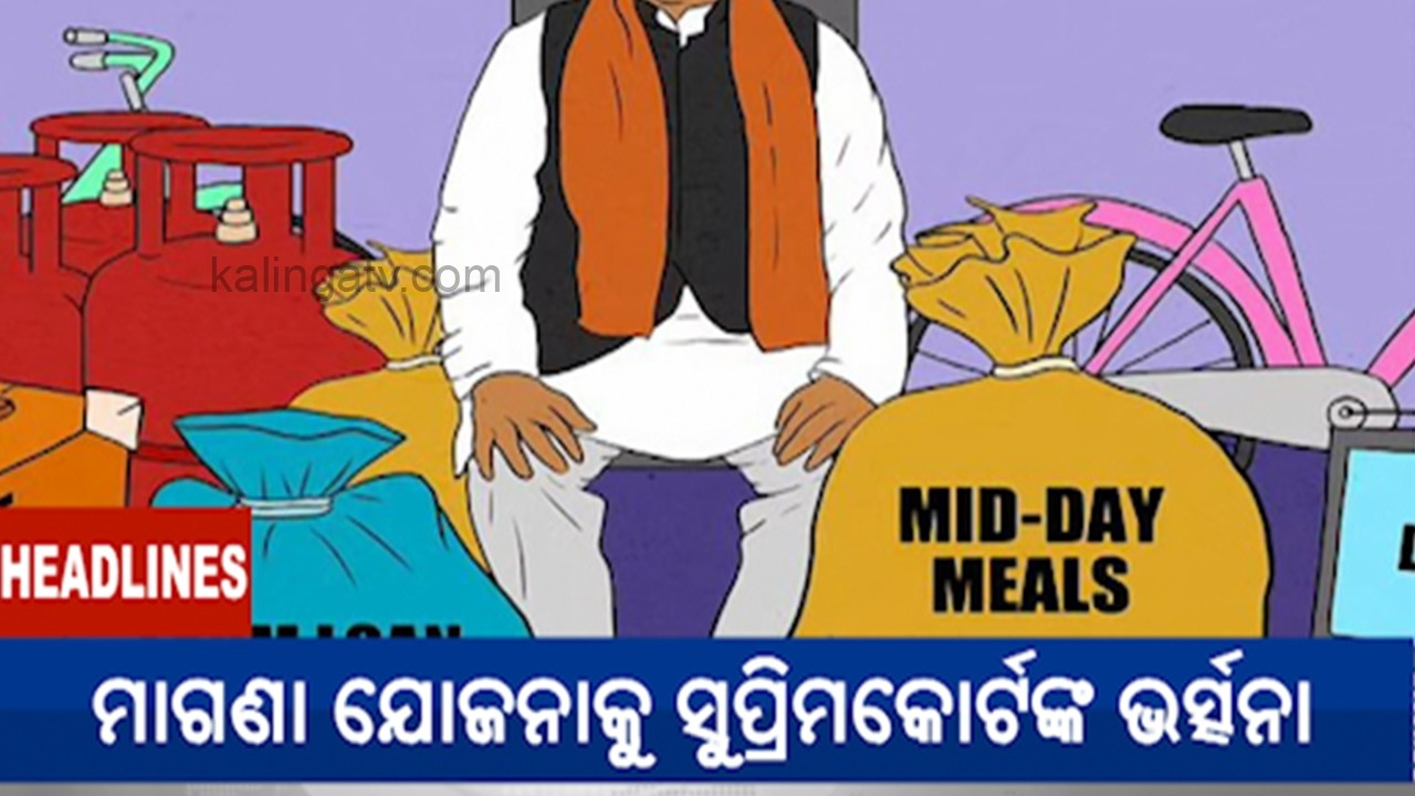 11 PM Headlines || February 19, 2026