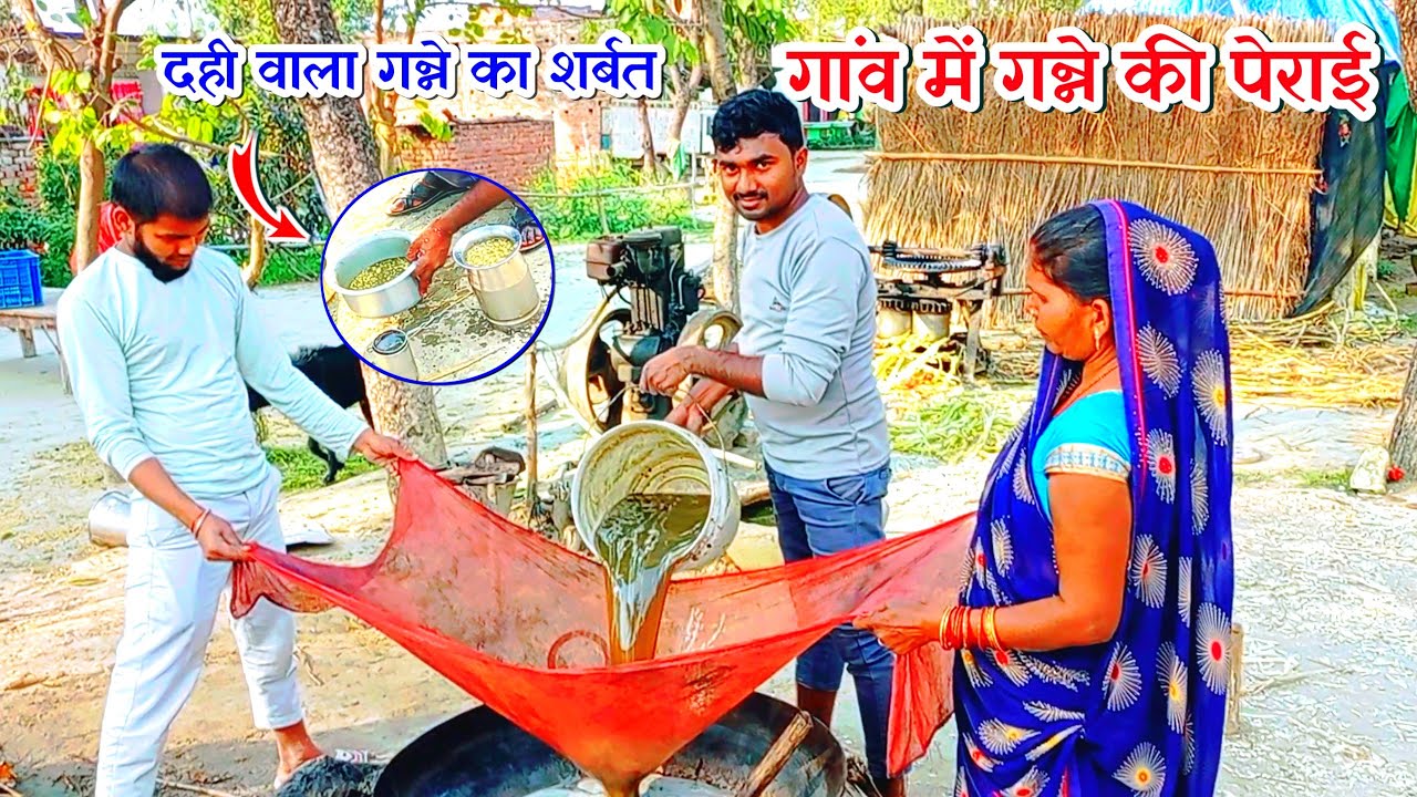 हमारे गाँव में गन्ने की पेराई ऐसे होती है | गाँव में गन्ने का देशी शरबत | आज हमने गन्ने का सरबत पिया