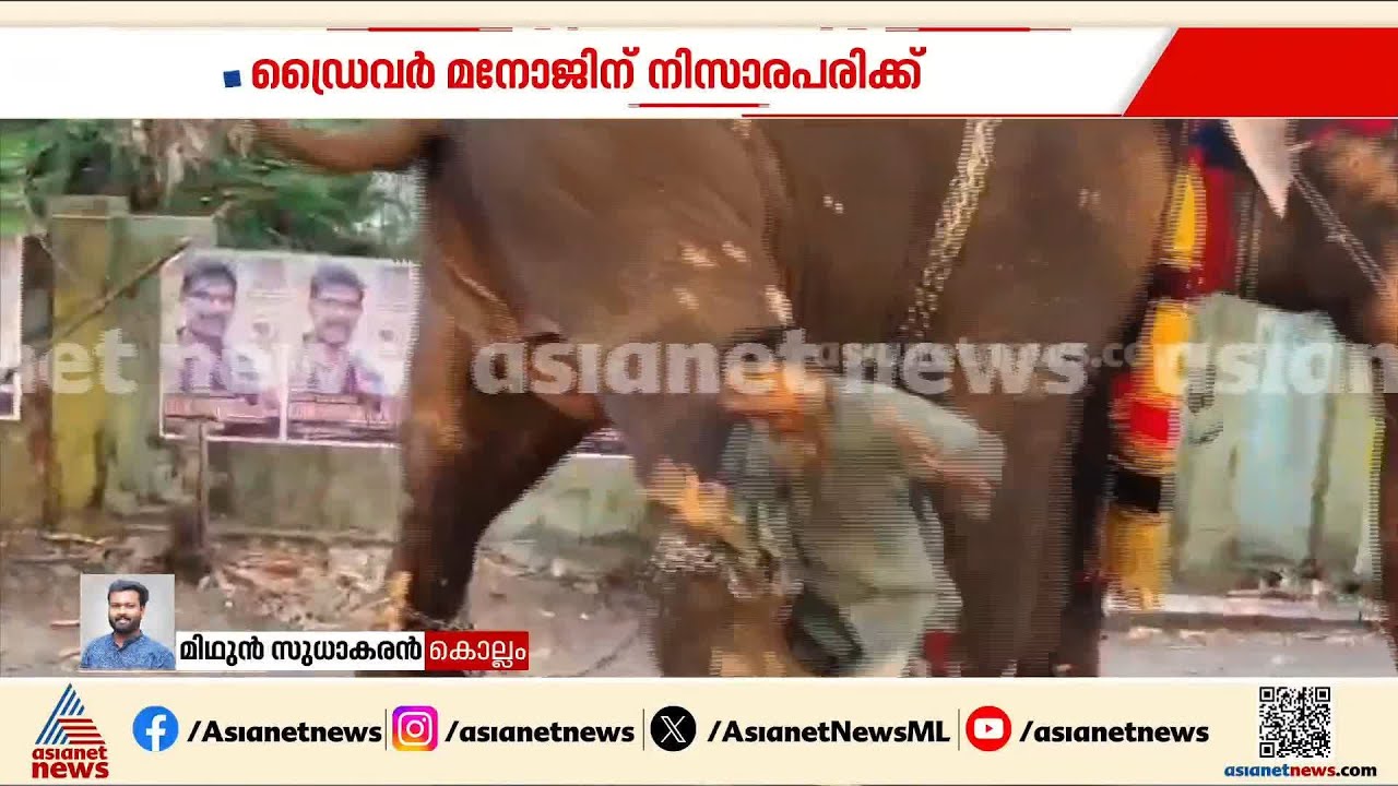 കൊല്ലത്ത് ക്ഷേത്രോത്സവത്തിനിടെ ആനയുടെ ആക്രമണം; ഗതാഗതം നിയന്തിച്ചിരുന്നയാളെ ചവിട്ടി