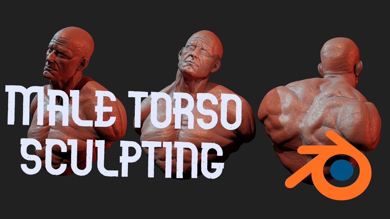 Male torso sculpting - Blender 2.81