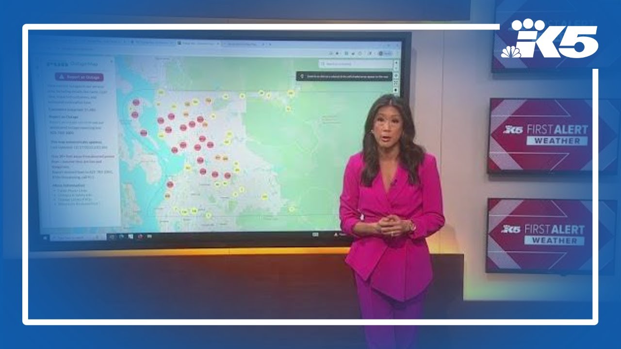 A closer look at power outages across the region
