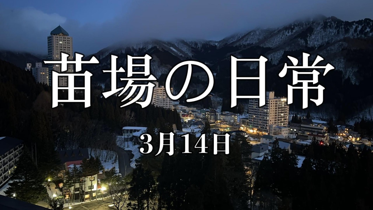 （523）原信で買い物　3月14日