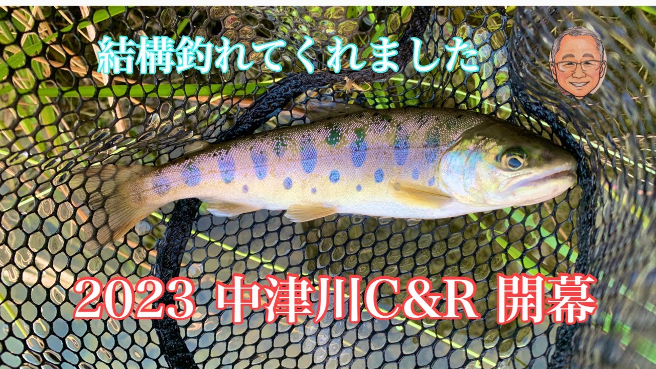 2023.3.2 神奈川県中津川C&R開幕戦　【flyfishing】【フライフィッシング】
